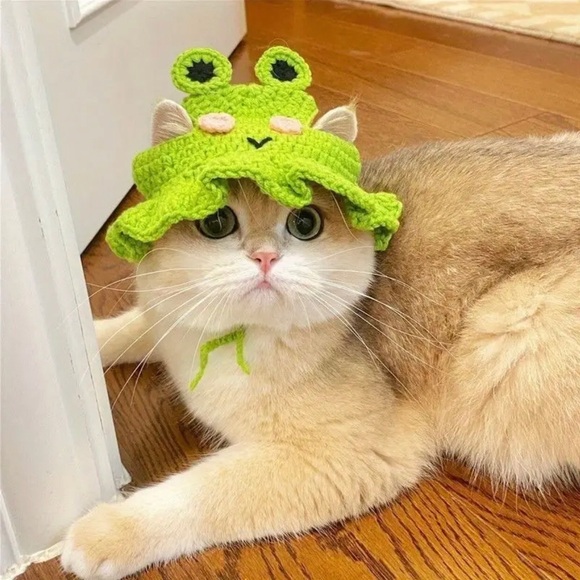 Crochet Green Frog Hat for Small Pets, Cat or Dog - Picture 2 of 16